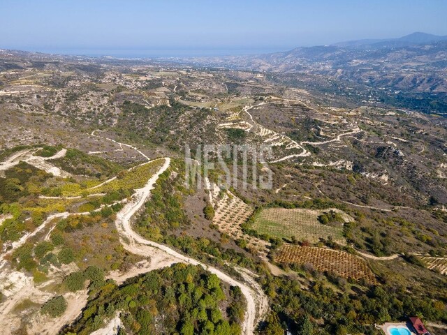 Field 11706 Sq.m. For Sale In Theletra, Paphos – photo 2