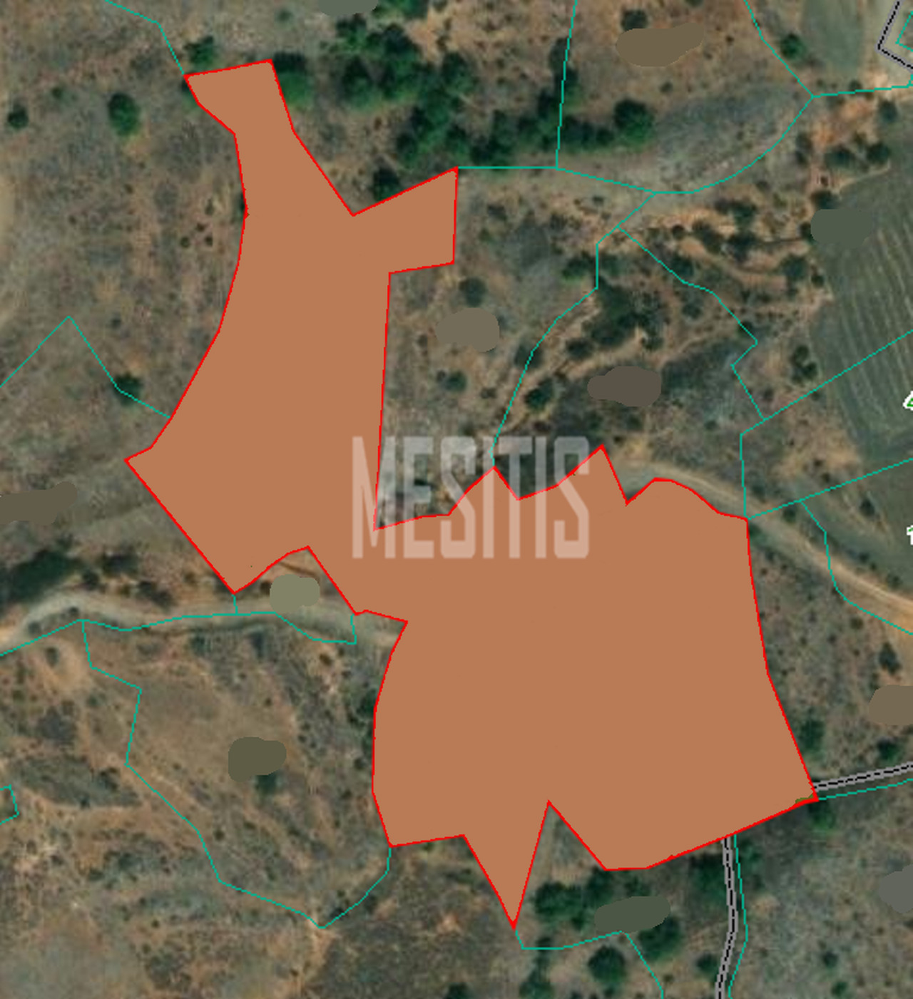 land-316b75da-dc2a-4df9-8bf6-16a7dfefe830_Wtr.png