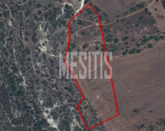 land-afa7850c-f838-4bf0-8298-3828a294a4d2_Wtr.png