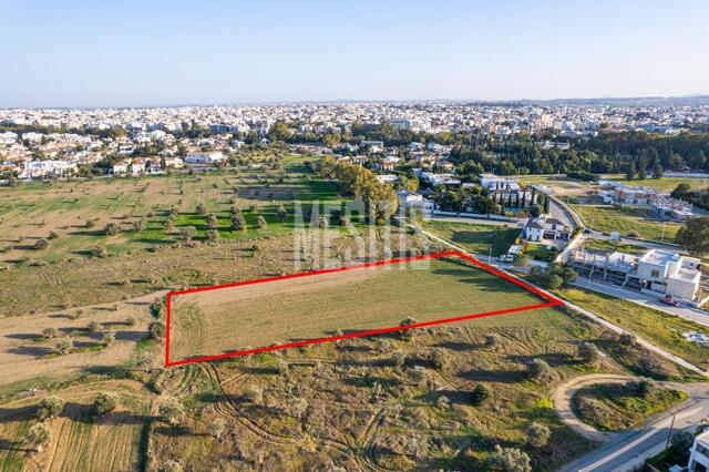 Shared field in Chryseleousa, Strovolos – photo 4