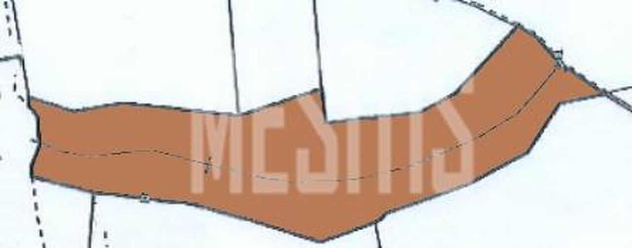 plot-c1e25495-fd7a-4e71-8eda-1b09193e1694_Wtr.jpg