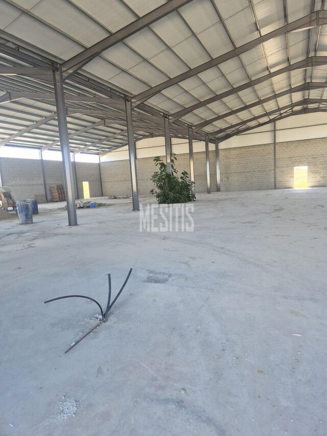warehouse-3fb02bb5-80f6-4b21-87cb-3b379036e6d4_Wtr.jpg