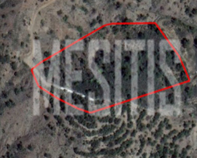 plot-80d82e83-6e62-43b5-aed5-b6ee861c4c27_Wtr.png
