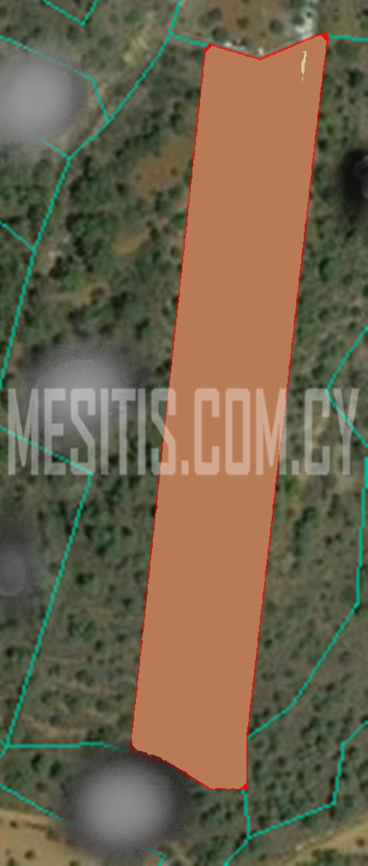 land-f1b5d561-0b0c-4358-b5b6-640e6cbb5cb1_Wtr.png