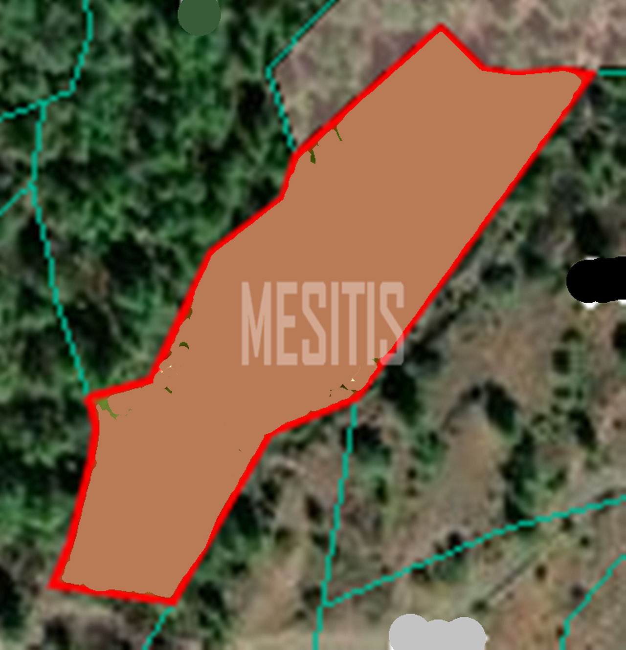 land-9473bea7-6aef-4619-b166-f36213d08429_Wtr.png