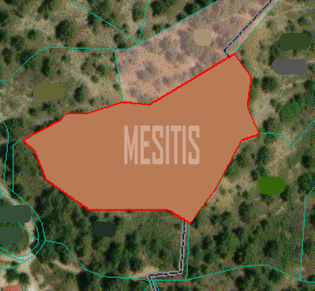 land-e8b29e2a-05ab-439d-aa3d-9a4081e58e3a_Wtr.png
