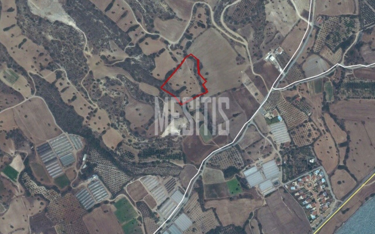 land-3b9f7203-132d-46dc-89ae-d382a69343eb_Wtr.jpeg