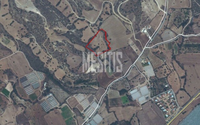 land-3b9f7203-132d-46dc-89ae-d382a69343eb_Wtr.jpeg