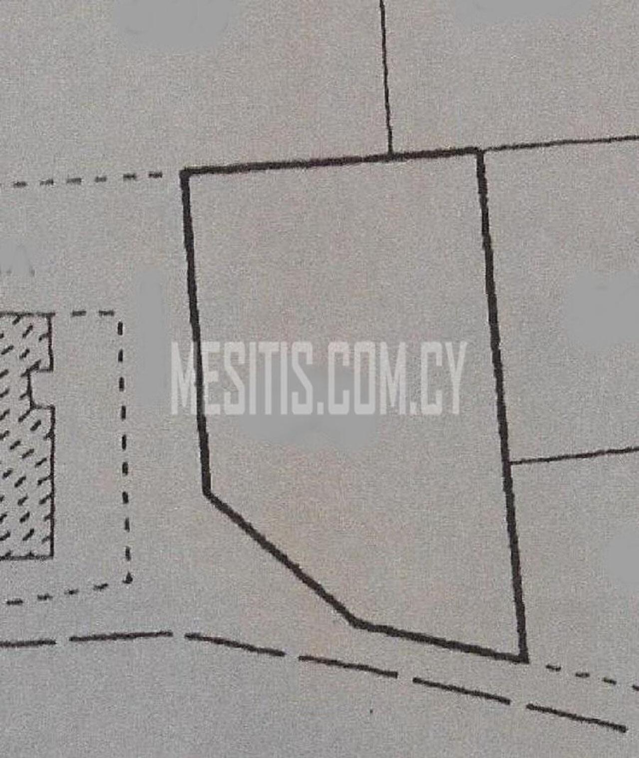 plot-e2d62a2a-fcc6-4d6d-aaa6-47989335bc97_Wtr.jpeg