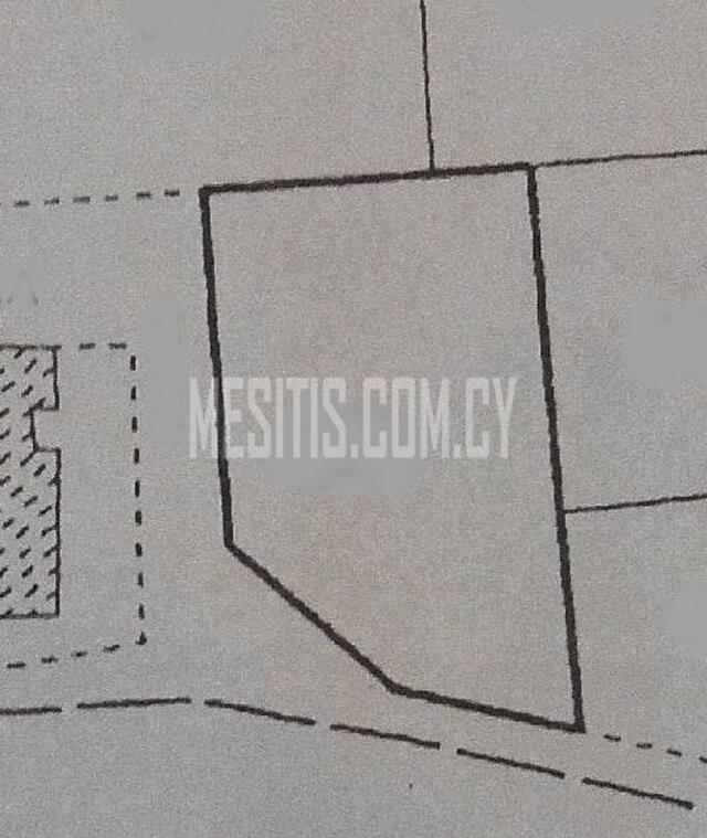 plot-e2d62a2a-fcc6-4d6d-aaa6-47989335bc97_Wtr.jpeg