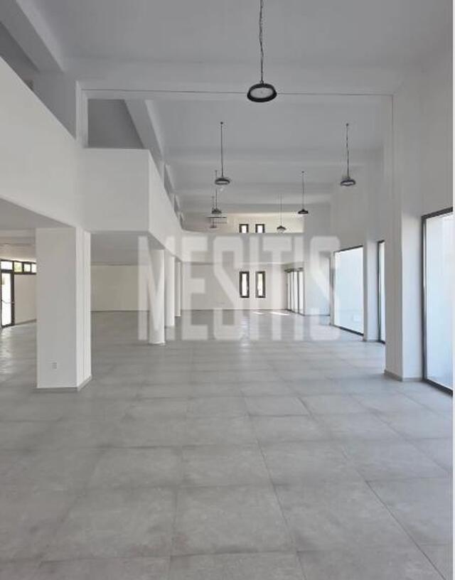 store-ff5c2308-bdd7-4fe1-97ec-3609f698f3af_Wtr.jpg