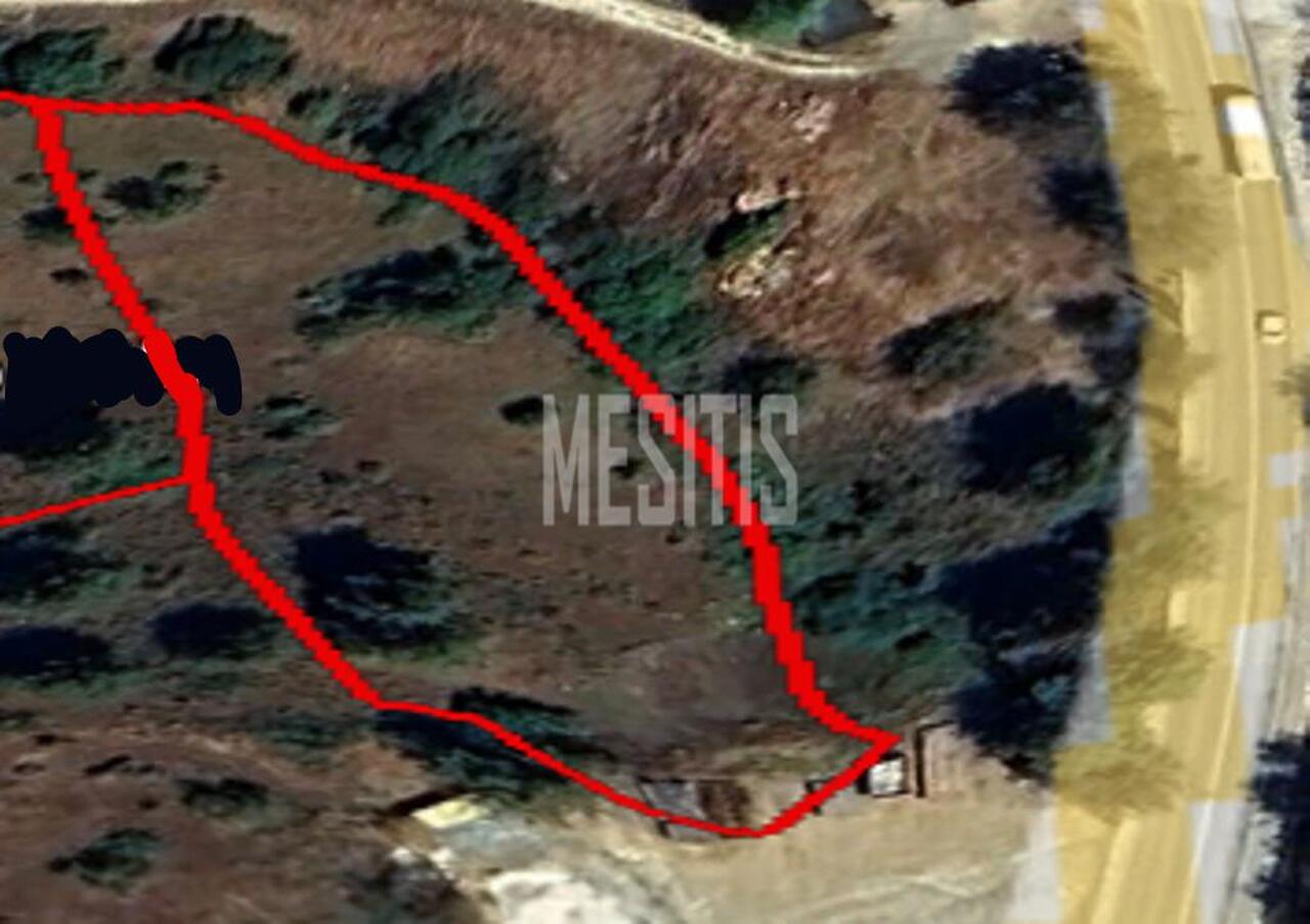 plot-45bb594e-e1e8-43e3-9031-4d0871d71e9d_Wtr.jpg