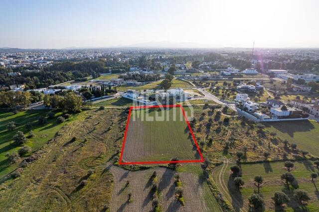 Shared field in Chryseleousa, Strovolos – photo 3