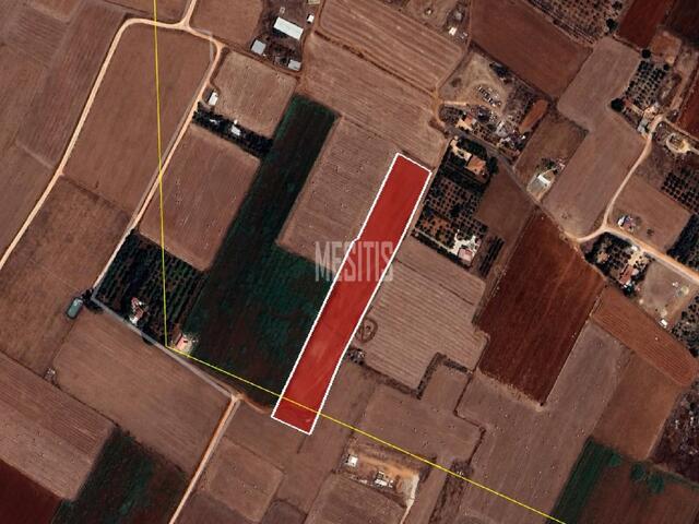 land-0e55ba0a-2d99-4594-8896-05ea521a3a13_Wtr.jpg