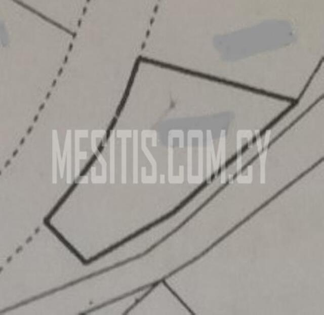 plot-7eaef446-434c-43e9-b186-781c654168bf_Wtr.jpeg