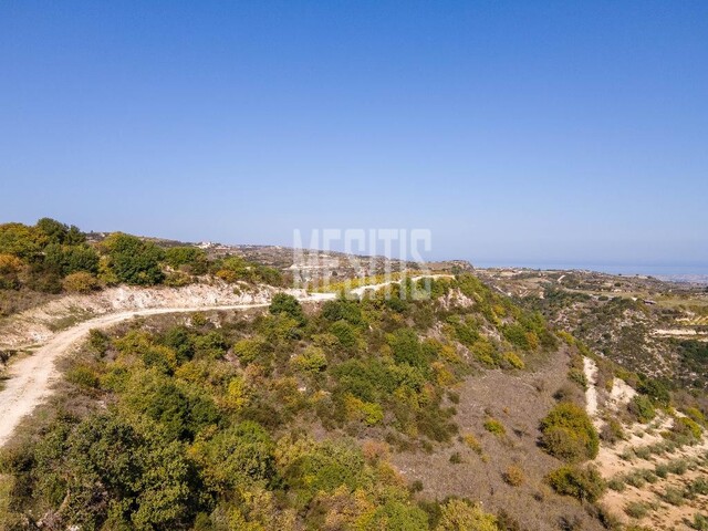Field 11706 Sq.m. For Sale In Theletra, Paphos – photo 3