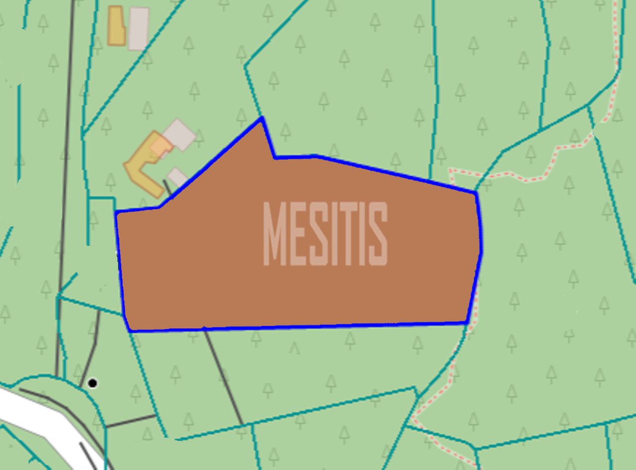land-2dea0ea6-59c3-494b-bb8f-a4cba5ecbea4_Wtr.png