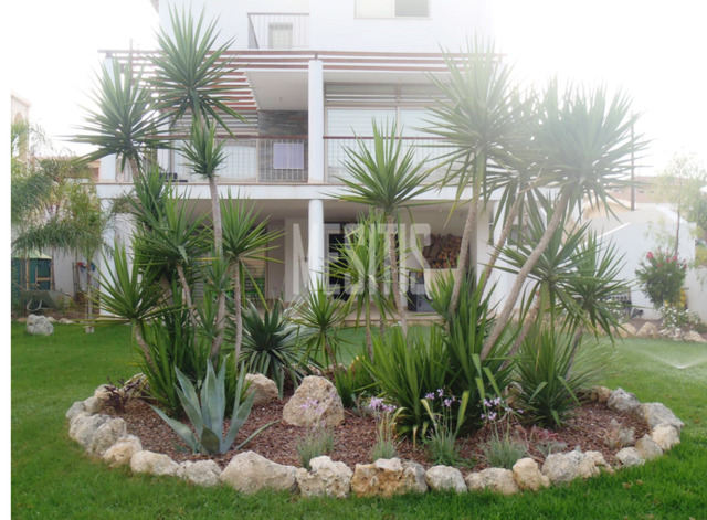 detachedHouse-64683835-c4a3-4da7-839e-5d076992bcaa_Wtr.png