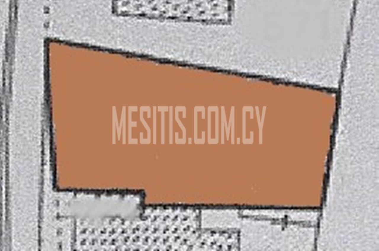 plot-510e362b-8eec-440c-82d8-2db3b729b68a_Wtr.jpeg