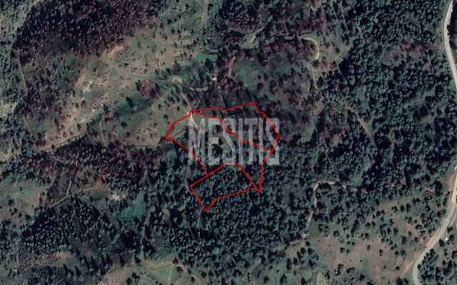 plot-bcc0a5c1-6d65-4207-942a-67bf7677875e_Wtr.jpg