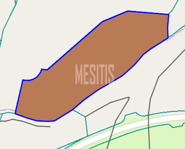 plot-28a0ed1a-fbe8-4578-b81e-24c719eb787a_Wtr.jpg