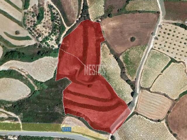 land-762fecd9-51ca-4ee7-8f26-f2ce4b06b9f3_Wtr.jpg