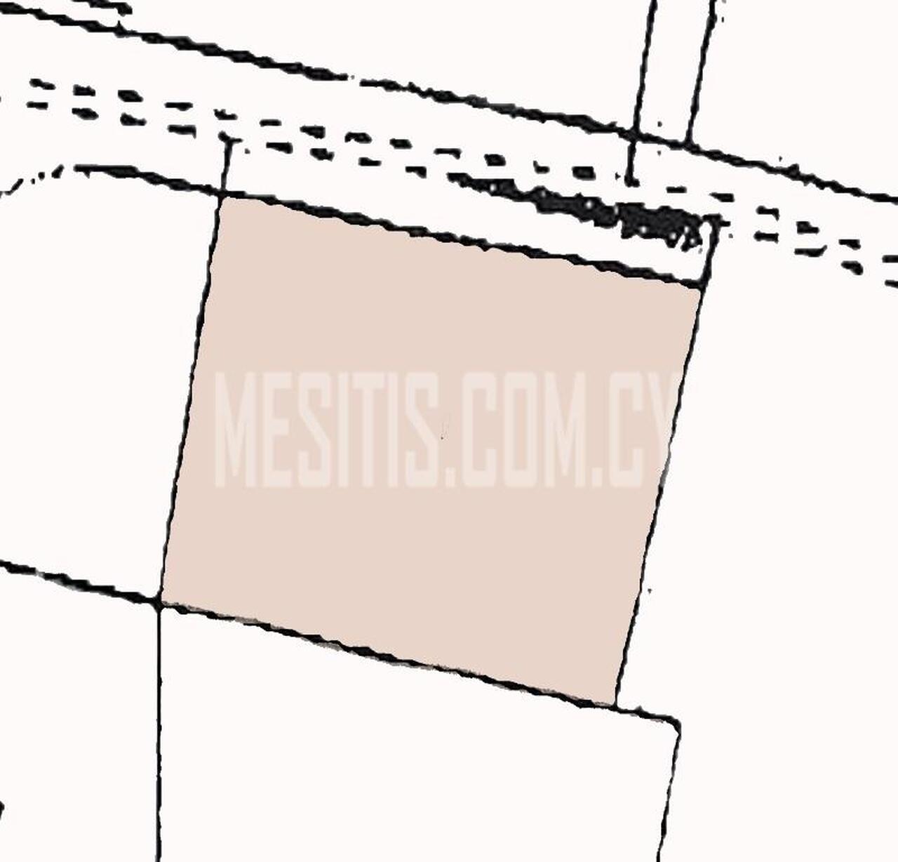 plot-7593fc8e-cfd4-4195-a3f9-3345f2de06c4_Wtr.jpeg
