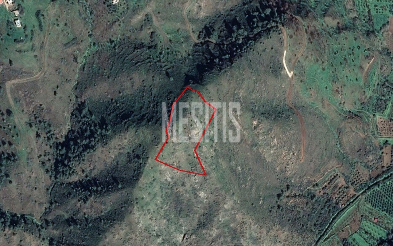 plot-3fbf6b4a-b95d-4290-a5e4-be783ccdac29_Wtr.jpeg