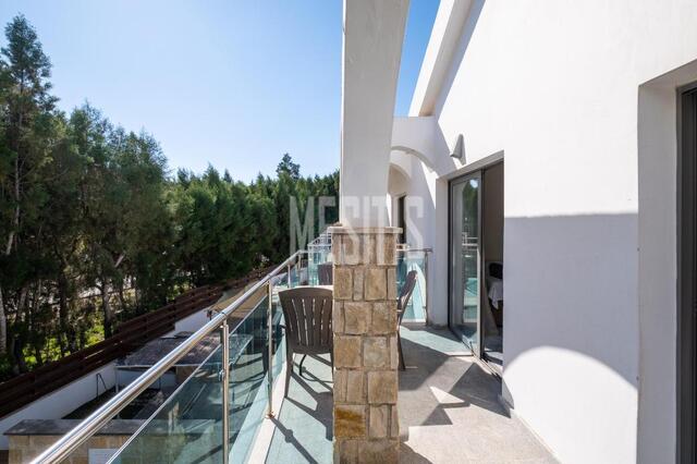 apartment-9dd25674-59b7-43f1-82ed-6f9bec76e81b_Wtr.jpg