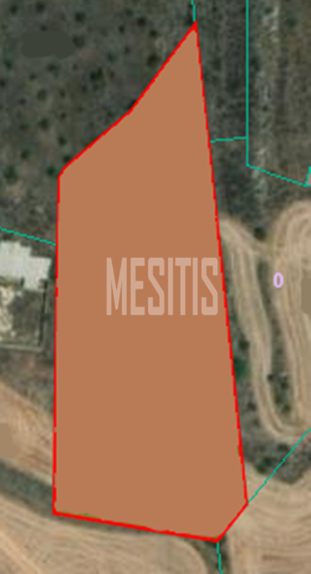 land-12fdd1e2-c655-4237-a2d5-1af223064ab2_Wtr.png