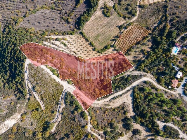 Field 11706 Sq.m. For Sale In Theletra, Paphos – photo 1