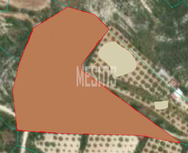 land-09c079a9-f2f5-4155-94fd-a6fa57f4d63d_Wtr.png