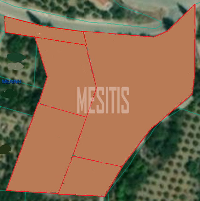 land-99affff3-0085-49d6-8b28-b4b2fe69515b_Wtr.png
