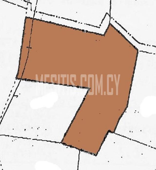 plot-e61789c7-d480-4dec-8d85-b69363825fd5_Wtr.jpeg