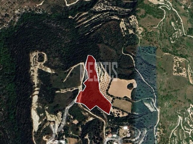 Field 11706 Sq.m. For Sale In Theletra, Paphos – photo 5