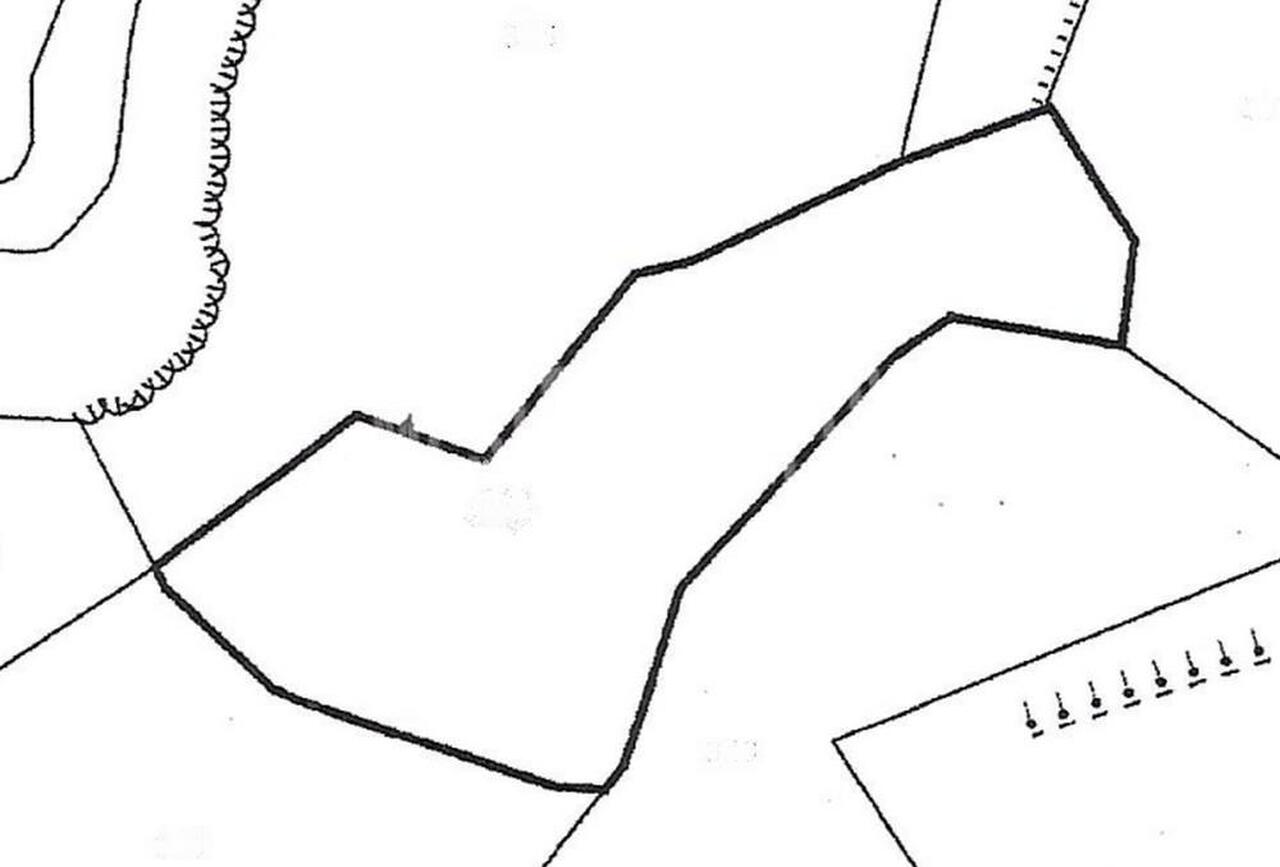 land-716d2fdc-b6da-4374-ab61-86e560c0ba49_Wtr.jpeg
