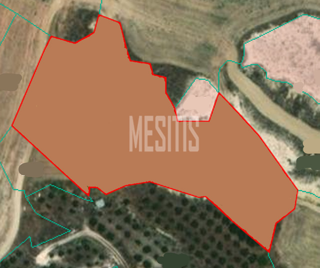 land-7a4ffdd4-450d-4343-bf31-338dba1aa407_Wtr.png