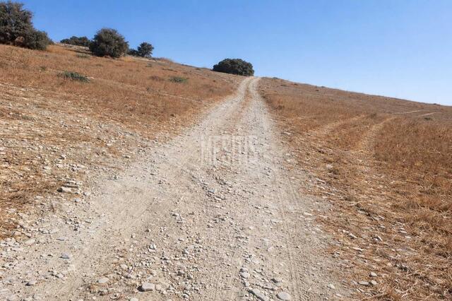 plot-7dbb8d13-389e-43de-98ab-6363813f907d_Wtr.jpg