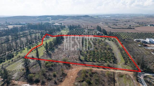 plot-76add3a0-77b3-4812-9c54-954aa970a8d4_Wtr.jpg