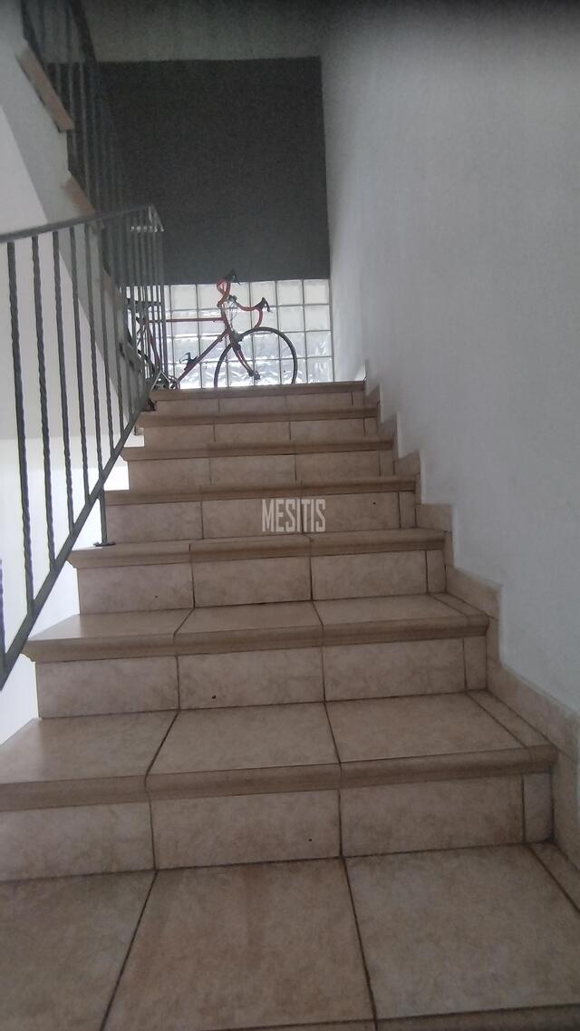 apartment-9d04f79d-e359-461e-991b-d16c2d7d1df6_Wtr.jpeg