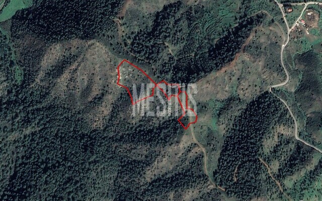 plot-8638a0eb-07f6-40a8-ae5c-604294e167c6_Wtr.jpg