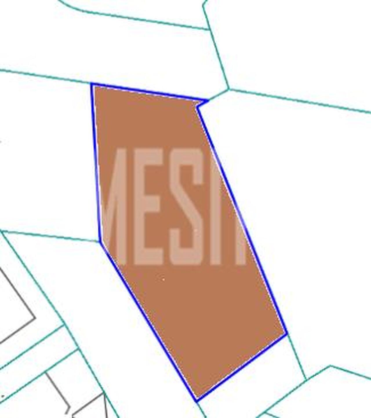 plot-1ce5f32e-8ad2-4fe0-97cc-4ec8ede9ea8a_Wtr.jpg
