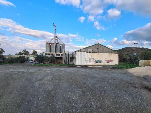warehouse-d9bf0c31-b350-4db9-b6cf-9cac879b7dff_Wtr.jpg