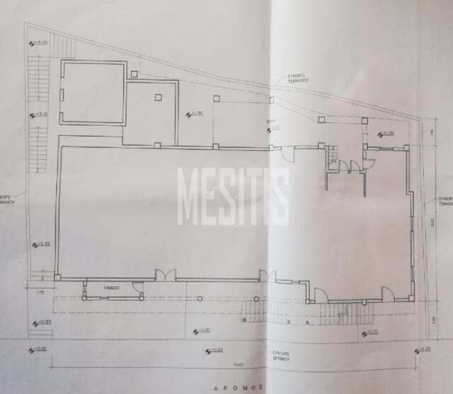 entireBuilding-a504a9ff-d40e-46ce-9a9c-7c636082c037_Wtr.jpeg