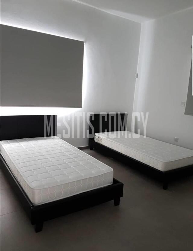 A Very Nice Modern 4 Bedroom House In A Big Plot For Rent Or For Sale In Paliometoxo – photo 8