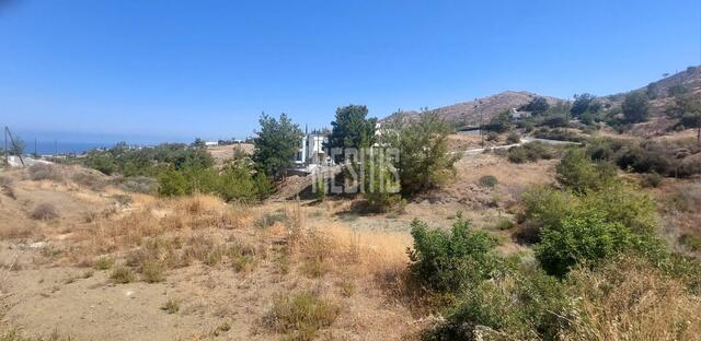 plot-e5d37710-2bd2-4ebd-9f6e-306d95da19c8_Wtr.jpg