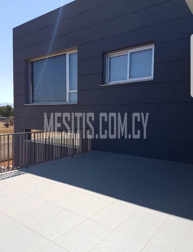 A Very Nice Modern 4 Bedroom House In A Big Plot For Rent Or For Sale In Paliometoxo – photo 6