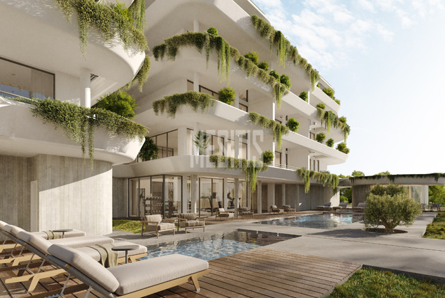 apartment-5140fbea-58d5-48aa-afaf-286869d82328_Wtr.png