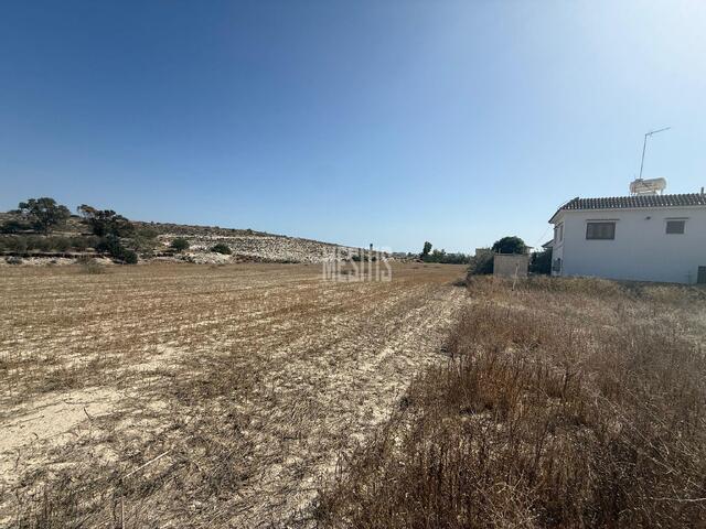 Residential Field Of 3596sq.m For Sale In Aradippou, Larnaka – photo 2