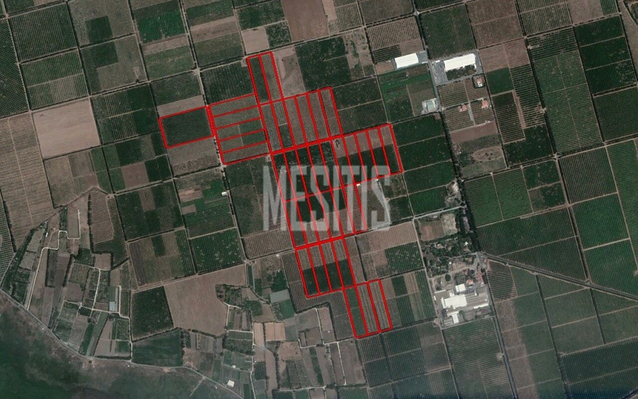 land-87ad83f3-fb25-4a9f-abed-c01c81efa620_Wtr.jpeg